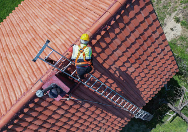 Best Chimney Flashing Repair  in Forest, MS